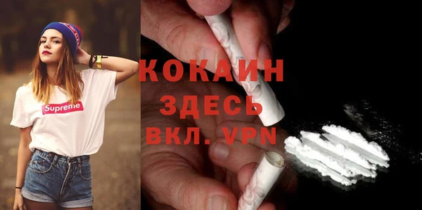 бошки Бородино